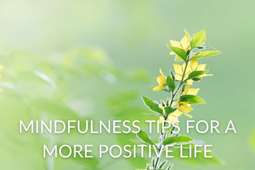 calm yellow flowers against a natural green leafy background to represent mindfulness and positive living