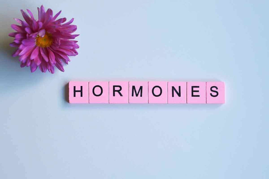 Vitamin B and Hormones