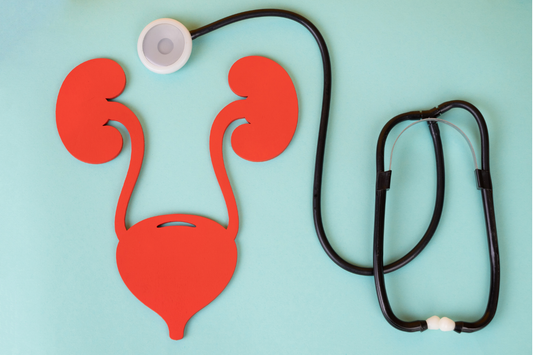 Nurturing Bladder Health: Quiet Care for Everyday Confidence
