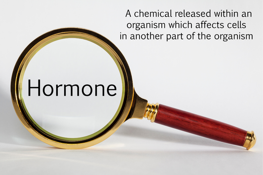 Tired, Flat, Irritable: The Male Hormone Shift That Nobody Is Talking About