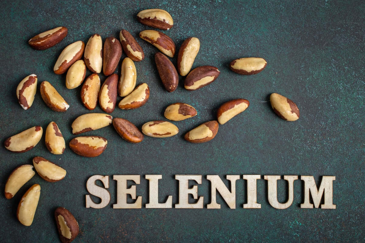 Our Favourite Fun Facts about Selenium and Supplements