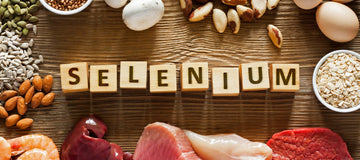 images showing best sources of selenium in your diet including brazil nuts, mushrooms, tuna, salmon, liver and chicken with the word selenium spelled out on wooden blocks in the middle. Viewed from above