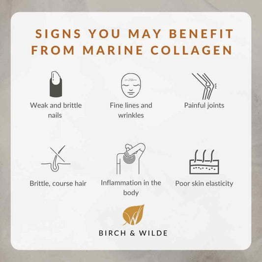 Marine Collagen Capsules x 60 | Monthly Refill Pouch